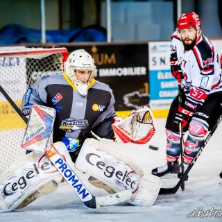 ALBATROS DE BREST VS LES BISONS DE NEUILLY SUR MARNE 05/01/2019 - © Marion BESCOND