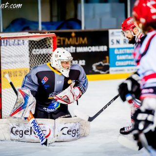 ALBATROS DE BREST VS LES BISONS DE NEUILLY SUR MARNE 05/01/2019 - © Marion BESCOND