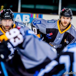 ALBATROS DE BREST VS LES BISONS DE NEUILLY SUR MARNE 05/01/2019 - © Marion BESCOND