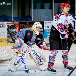 ALBATROS DE BREST VS LES BISONS DE NEUILLY SUR MARNE 05/01/2019 - © Marion BESCOND