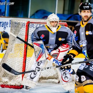 ALBATROS DE BREST VS LES BISONS DE NEUILLY SUR MARNE 05/01/2019 - © Marion BESCOND