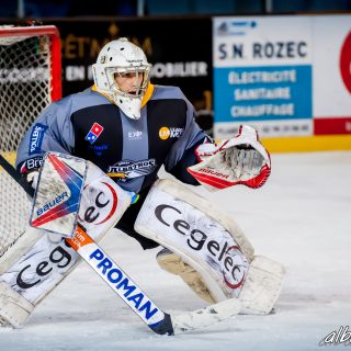 ALBATROS DE BREST VS LES BISONS DE NEUILLY SUR MARNE 05/01/2019 - © Marion BESCOND