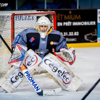 ALBATROS DE BREST VS LES BISONS DE NEUILLY SUR MARNE 05/01/2019 - © Marion BESCOND