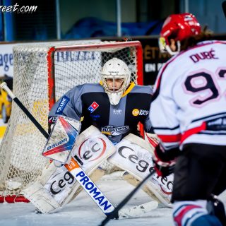 ALBATROS DE BREST VS LES BISONS DE NEUILLY SUR MARNE 05/01/2019 - © Marion BESCOND