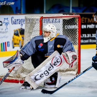 ALBATROS DE BREST VS LES BISONS DE NEUILLY SUR MARNE 05/01/2019 - © Marion BESCOND