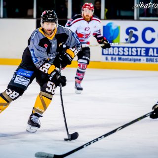 ALBATROS DE BREST VS LES BISONS DE NEUILLY SUR MARNE 05/01/2019 - © Marion BESCOND