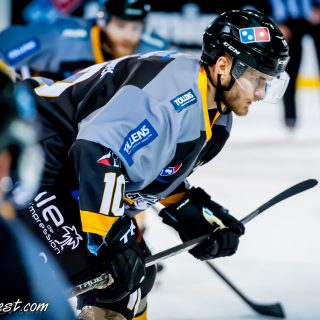 ALBATROS DE BREST VS LES BISONS DE NEUILLY SUR MARNE 05/01/2019 - © Marion BESCOND