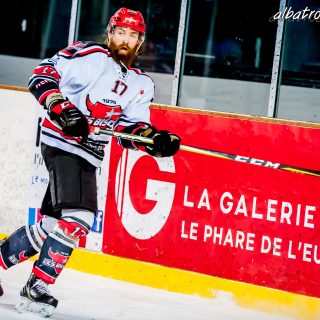 ALBATROS DE BREST VS LES BISONS DE NEUILLY SUR MARNE 05/01/2019 - © Marion BESCOND