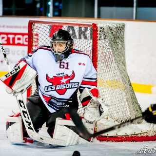 ALBATROS DE BREST VS LES BISONS DE NEUILLY SUR MARNE 05/01/2019 - © Marion BESCOND