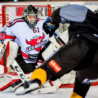 ALBATROS DE BREST VS LES BISONS DE NEUILLY SUR MARNE 05/01/2019 - © Marion BESCOND