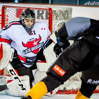 ALBATROS DE BREST VS LES BISONS DE NEUILLY SUR MARNE 05/01/2019 - © Marion BESCOND