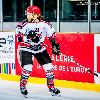 ALBATROS DE BREST VS LES BISONS DE NEUILLY SUR MARNE 05/01/2019 - © Marion BESCOND