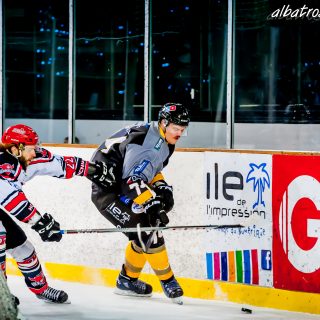 ALBATROS DE BREST VS LES BISONS DE NEUILLY SUR MARNE 05/01/2019 - © Marion BESCOND