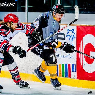 ALBATROS DE BREST VS LES BISONS DE NEUILLY SUR MARNE 05/01/2019 - © Marion BESCOND