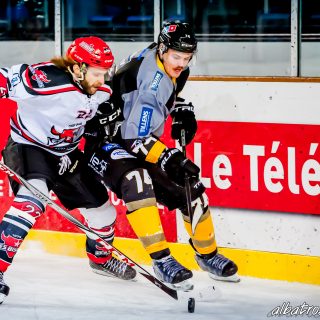 ALBATROS DE BREST VS LES BISONS DE NEUILLY SUR MARNE 05/01/2019 - © Marion BESCOND
