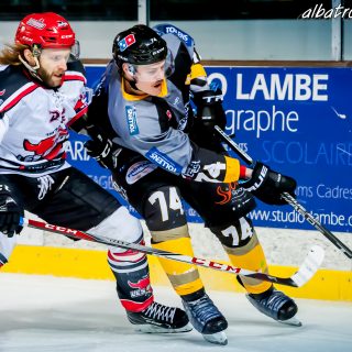 ALBATROS DE BREST VS LES BISONS DE NEUILLY SUR MARNE 05/01/2019 - © Marion BESCOND