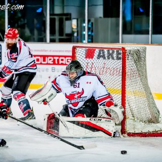 ALBATROS DE BREST VS LES BISONS DE NEUILLY SUR MARNE 05/01/2019 - © Marion BESCOND