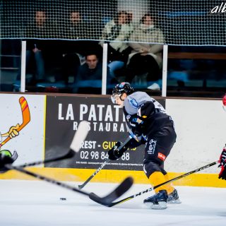 ALBATROS DE BREST VS LES BISONS DE NEUILLY SUR MARNE 05/01/2019 - © Marion BESCOND