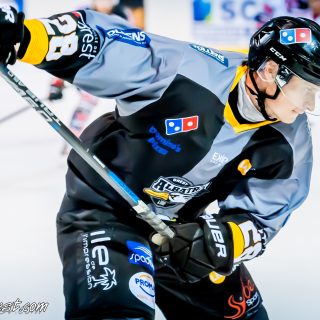 ALBATROS DE BREST VS LES BISONS DE NEUILLY SUR MARNE 05/01/2019 - © Marion BESCOND