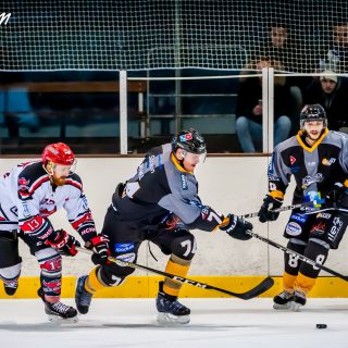 ALBATROS DE BREST VS LES BISONS DE NEUILLY SUR MARNE 05/01/2019 - © Marion BESCOND