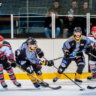 ALBATROS DE BREST VS LES BISONS DE NEUILLY SUR MARNE 05/01/2019 - © Marion BESCOND