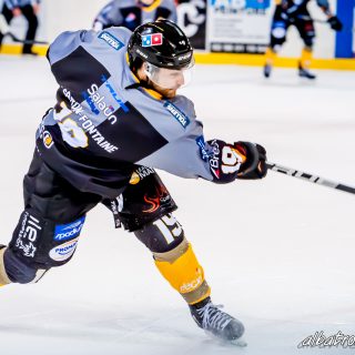 ALBATROS DE BREST VS LES BISONS DE NEUILLY SUR MARNE 05/01/2019 - © Marion BESCOND