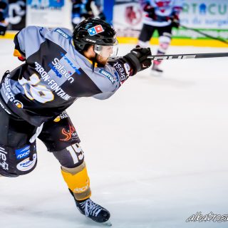 ALBATROS DE BREST VS LES BISONS DE NEUILLY SUR MARNE 05/01/2019 - © Marion BESCOND