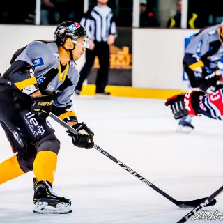 ALBATROS DE BREST VS LES BISONS DE NEUILLY SUR MARNE 05/01/2019 - © Marion BESCOND
