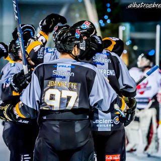 ALBATROS DE BREST VS LES BISONS DE NEUILLY SUR MARNE 05/01/2019 - © Marion BESCOND