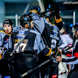 ALBATROS DE BREST VS LES BISONS DE NEUILLY SUR MARNE 05/01/2019 - © Marion BESCOND