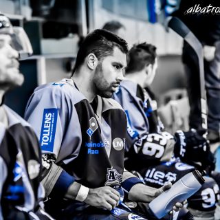 ALBATROS DE BREST VS LES BISONS DE NEUILLY SUR MARNE 05/01/2019 - © Marion BESCOND