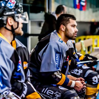 ALBATROS DE BREST VS LES BISONS DE NEUILLY SUR MARNE 05/01/2019 - © Marion BESCOND