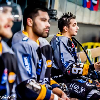 ALBATROS DE BREST VS LES BISONS DE NEUILLY SUR MARNE 05/01/2019 - © Marion BESCOND