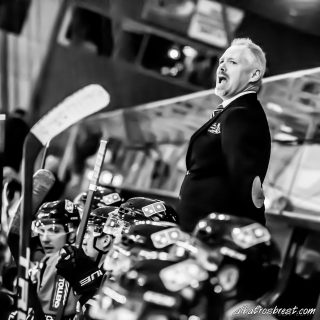 ALBATROS DE BREST VS LES BISONS DE NEUILLY SUR MARNE 05/01/2019 - © Marion BESCOND