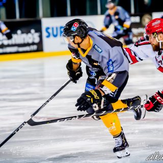 ALBATROS DE BREST VS LES BISONS DE NEUILLY SUR MARNE 05/01/2019 - © Marion BESCOND