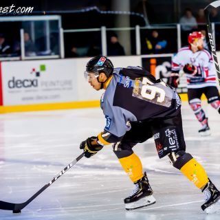 ALBATROS DE BREST VS LES BISONS DE NEUILLY SUR MARNE 05/01/2019 - © Marion BESCOND