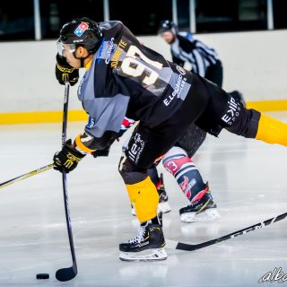 ALBATROS DE BREST VS LES BISONS DE NEUILLY SUR MARNE 05/01/2019 - © Marion BESCOND
