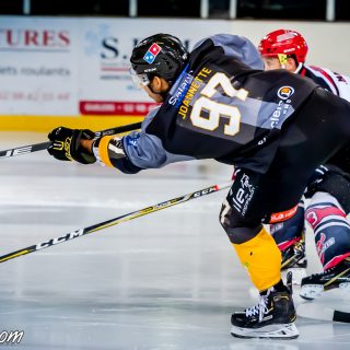 ALBATROS DE BREST VS LES BISONS DE NEUILLY SUR MARNE 05/01/2019 - © Marion BESCOND