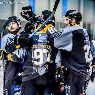 ALBATROS DE BREST VS LES BISONS DE NEUILLY SUR MARNE 05/01/2019 - © Marion BESCOND