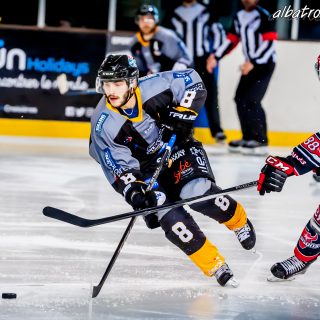 ALBATROS DE BREST VS LES BISONS DE NEUILLY SUR MARNE 05/01/2019 - © Marion BESCOND