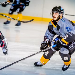 ALBATROS DE BREST VS LES BISONS DE NEUILLY SUR MARNE 05/01/2019 - © Marion BESCOND