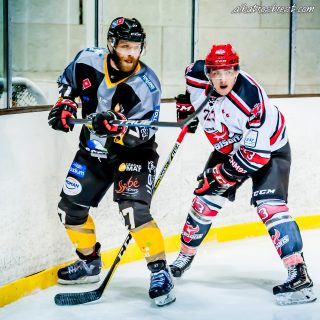 ALBATROS DE BREST VS LES BISONS DE NEUILLY SUR MARNE 05/01/2019 - © Marion BESCOND