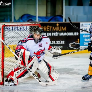 ALBATROS DE BREST VS LES BISONS DE NEUILLY SUR MARNE 05/01/2019 - © Marion BESCOND