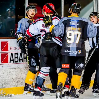 ALBATROS DE BREST VS LES BISONS DE NEUILLY SUR MARNE 05/01/2019 - © Marion BESCOND