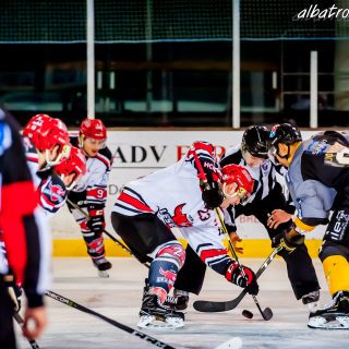 ALBATROS DE BREST VS LES BISONS DE NEUILLY SUR MARNE 05/01/2019 - © Marion BESCOND