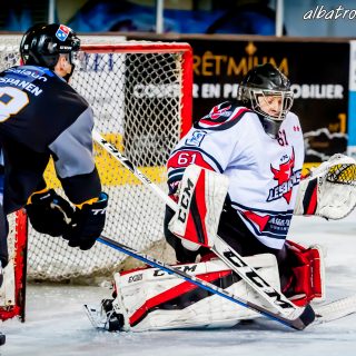 ALBATROS DE BREST VS LES BISONS DE NEUILLY SUR MARNE 05/01/2019 - © Marion BESCOND