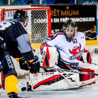 ALBATROS DE BREST VS LES BISONS DE NEUILLY SUR MARNE 05/01/2019 - © Marion BESCOND
