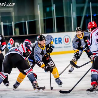 ALBATROS DE BREST VS LES BISONS DE NEUILLY SUR MARNE 05/01/2019 - © Marion BESCOND
