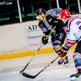 ALBATROS DE BREST VS LES BISONS DE NEUILLY SUR MARNE 05/01/2019 - © Marion BESCOND