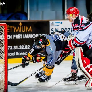 ALBATROS DE BREST VS LES BISONS DE NEUILLY SUR MARNE 05/01/2019 - © Marion BESCOND